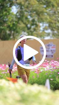 BIB:  <button type="button" onclick="openModal(27584772)" class="btn btn-primary btn-sm float-right" data-toggle="modal" data-target=".modal-high-quality">
                <i class="fa fa-download"></i> Download
                </button>